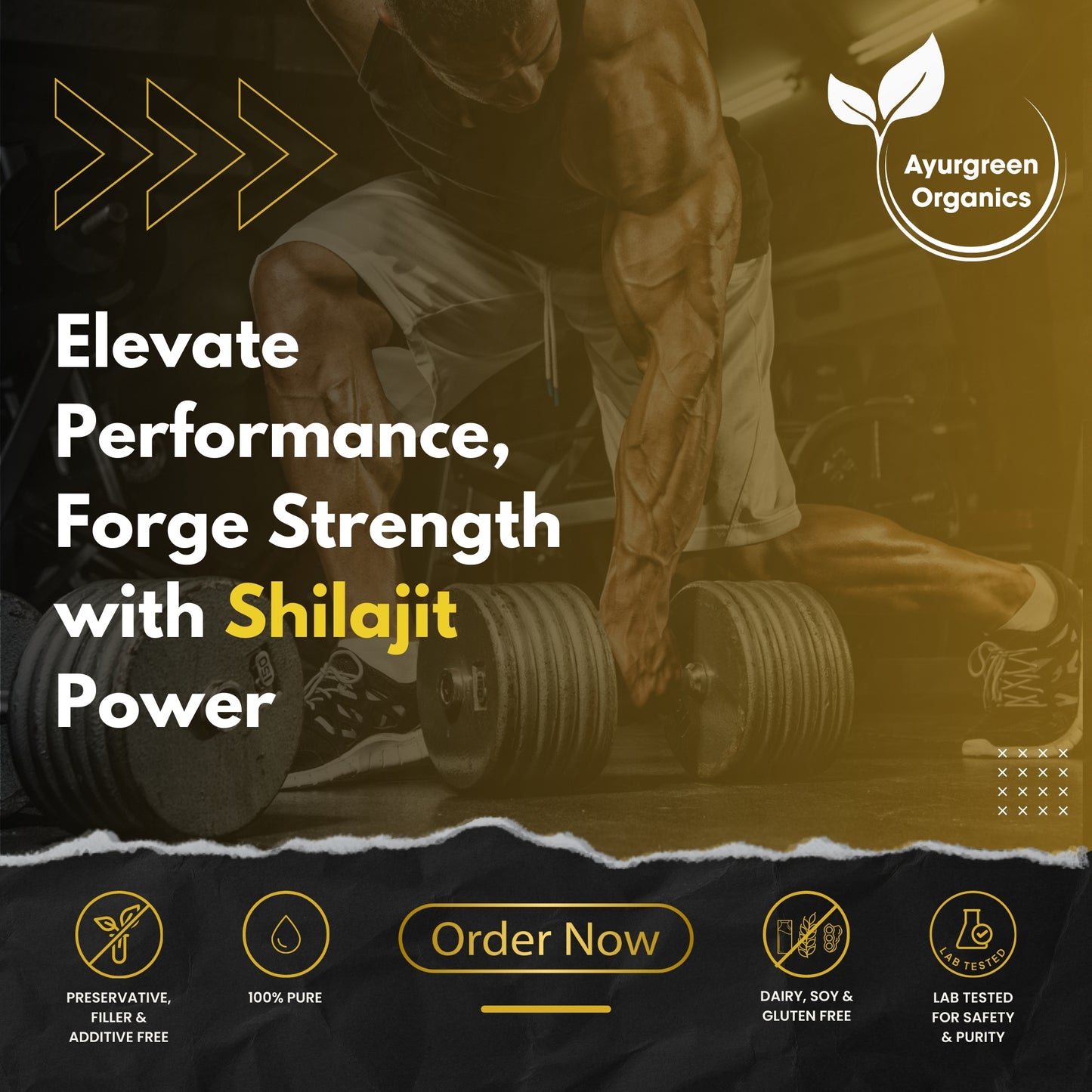 (Pack of 2) Ayurgreen organics ™ Gold Shilajit | 20g
