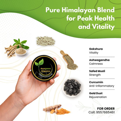 Combos Pack of 2 Ayurgreen organics ™ Gold Shilajit 20g and Ayurgreen Organics Multivitamin | 60 Veg capsules-750 mg