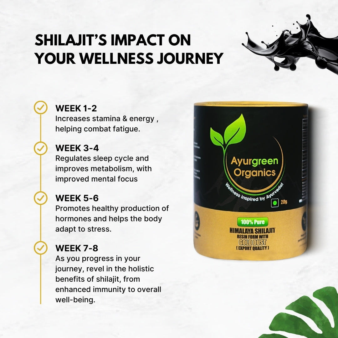 (Pack of 2) Ayurgreen organics ™  Gold Shilajit | 20g